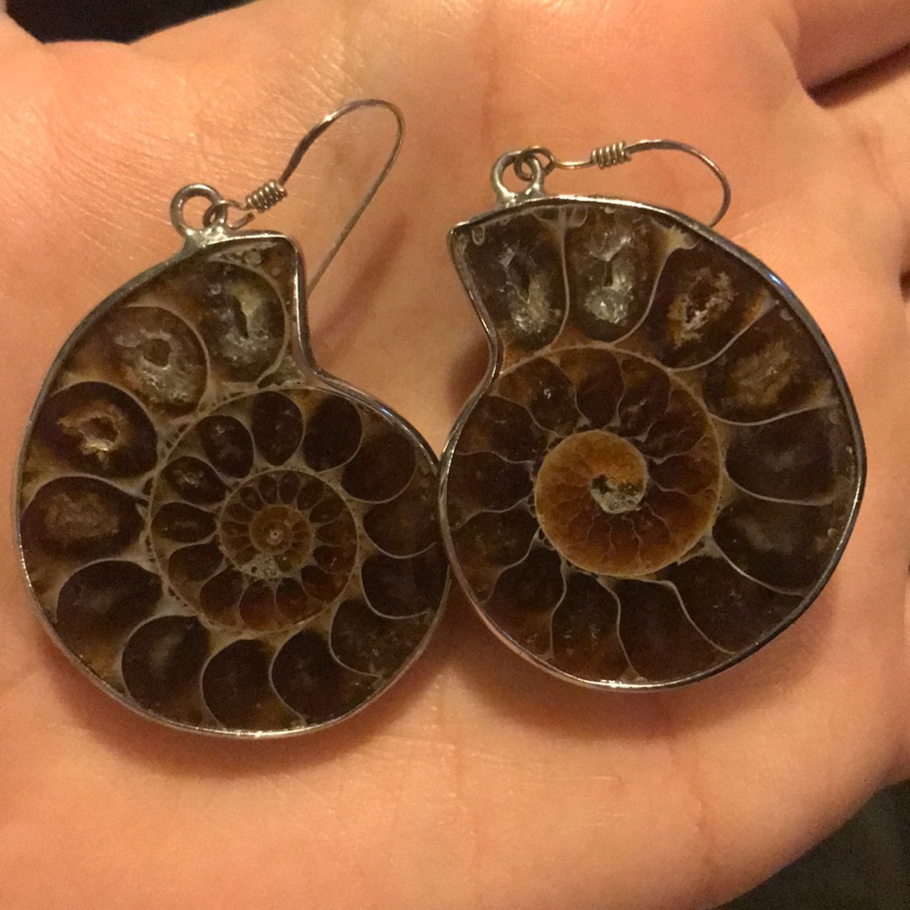 Ammonite fossil earrings